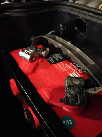 image-3693537930.webp