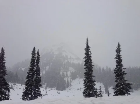 image-1712762168.webp