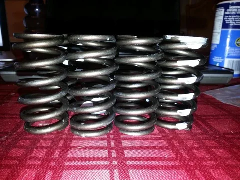 valve springs.jpg