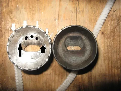 scallop 2 (Medium).webp