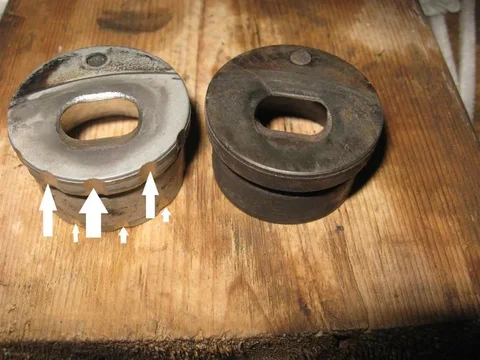 cups scallop (Medium).webp