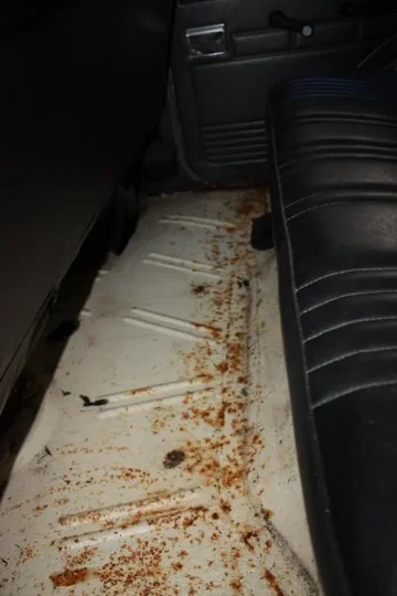 image-2295291496.webp