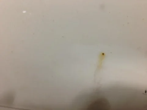 image-75877504.jpg