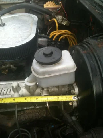 image-3520110291.webp