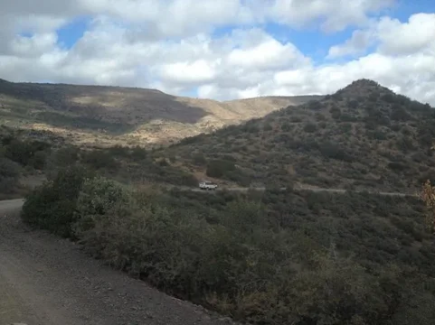image-2287396806.webp
