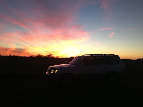 image-738299563.webp