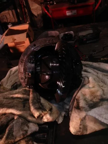 image-1638965028.webp