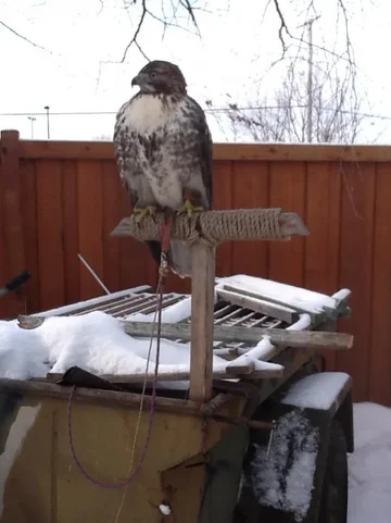 image-22696901.webp