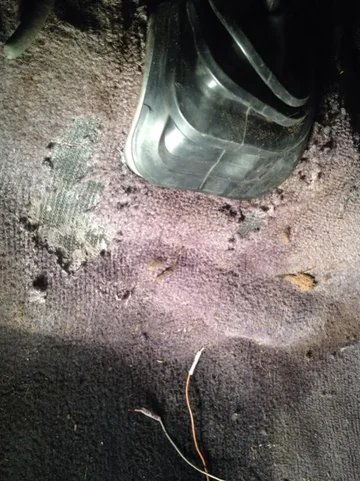 image-2650052977.webp