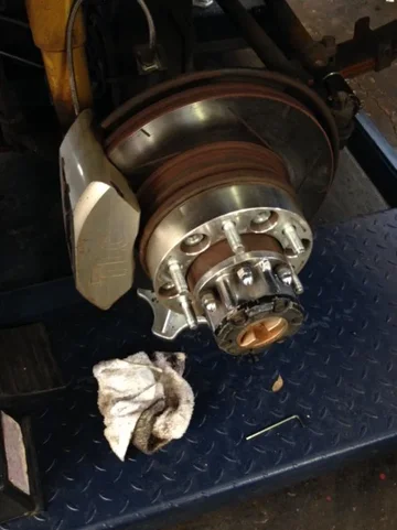 image-3238111815.jpg