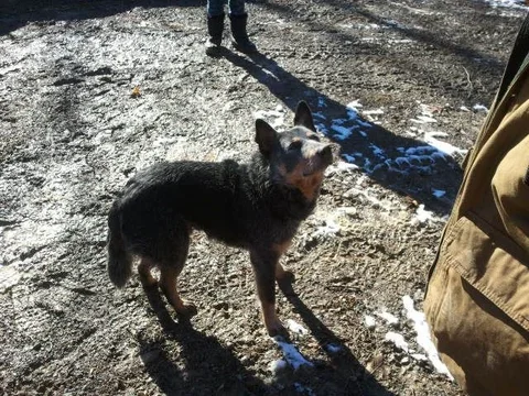 2014-01-04 14.01.19.webp