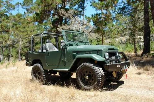40 rollbar.webp