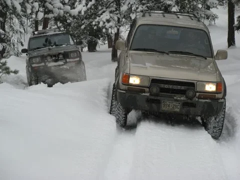 Andrew and Luke.webp