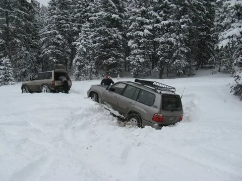 Travis waiting on AAA.webp