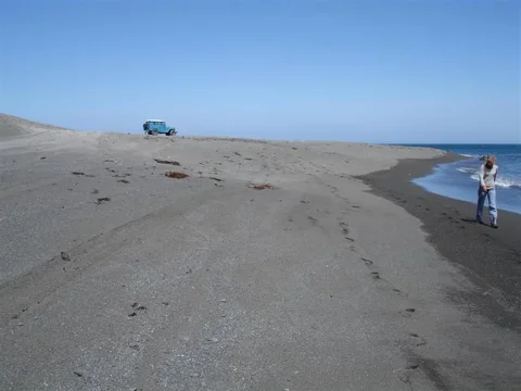 12Feb2014 024 (Large).webp