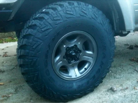 image-905370195.jpg