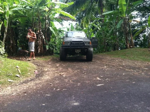 Maui plus 386.webp