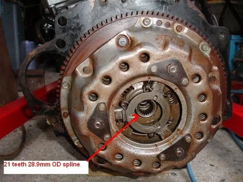Clutch6.jpg