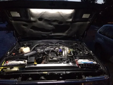 image-3715363132.jpg