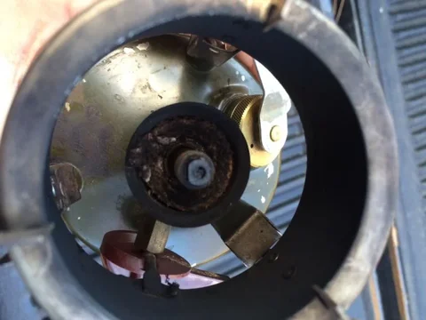 image-2334133176.jpg