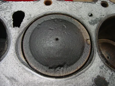 DSC08506.JPG