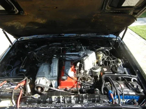 DSCN6305.webp