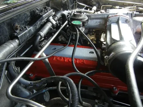 DSCN6291.webp