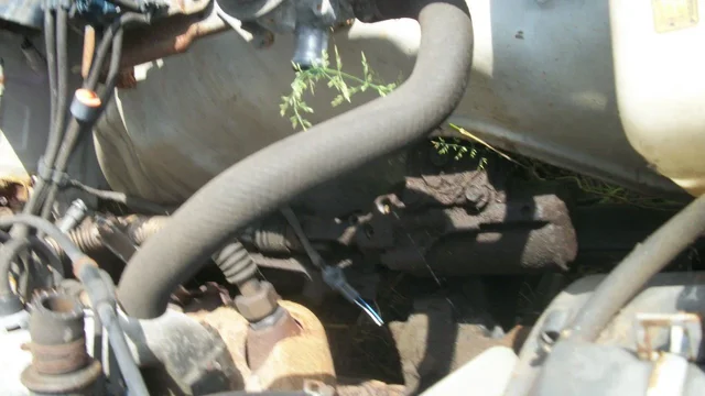 100_4804.webp 100_4804.webp