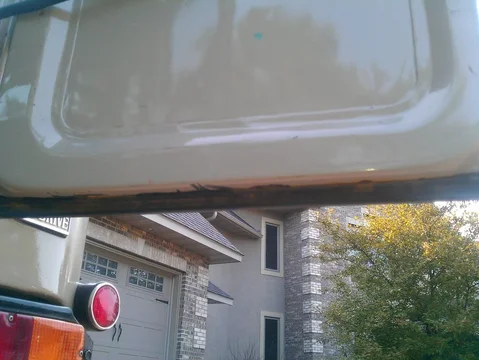 IMAG0453.webp