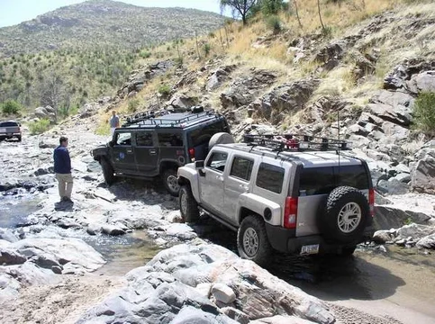 Hummers_Small.webp