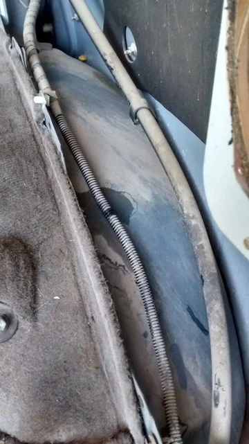 2014-12-13 11.05.47.webp