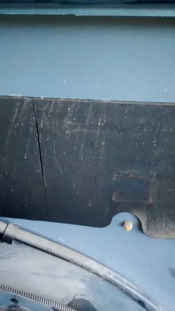 2014-12-13 11.05.57.webp