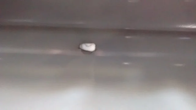 2014-12-13 11.34.03.webp