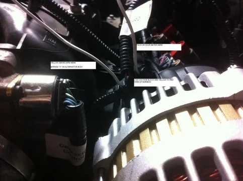 Alternator plug.webp