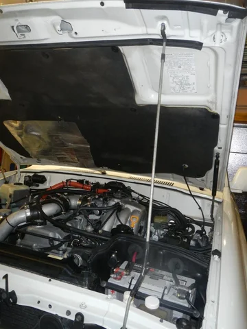 DSCN1509.webp