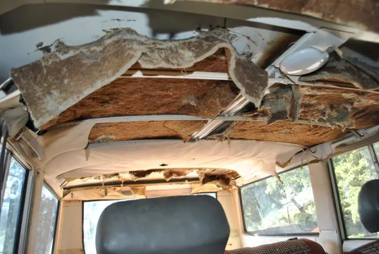 DSC_0228 - Copy.webp