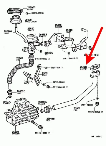 egr.webp
