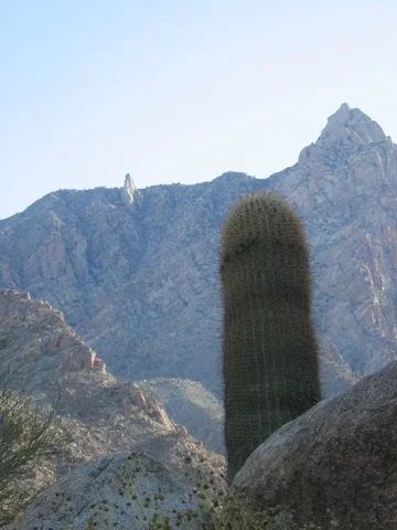 Canyon View.webp
