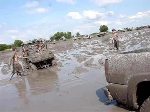 Rhino.jpg
