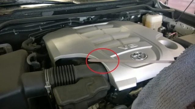 Dipstick - Copy.webp