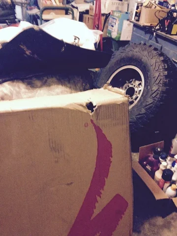 small tear in box corner.webp