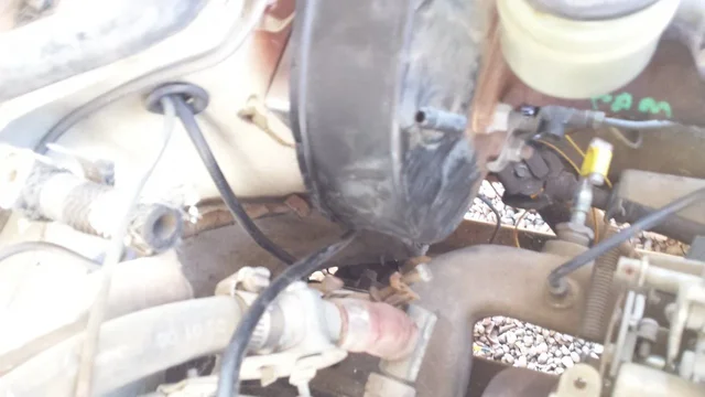 20150909_141650.webp