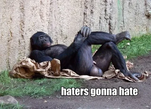Haters-gonna-hate.webp