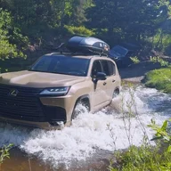 Canyonero