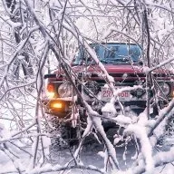 EasternYeti