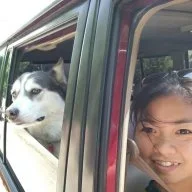 Lawzuit
