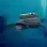Icantdive55