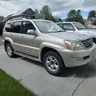 MT Cruiser