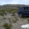 WorldCruisin