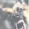 tackdog